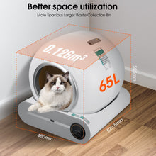 TAKOYI Automatic Cat Litter Box