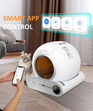 Lemolego Self-Cleaning Cat Litter Box, Automatic Cat Litter Box with APP Control